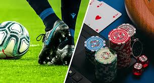 Your Ultimate Guide to bd333 bet Strategies, Tips, and Insights
